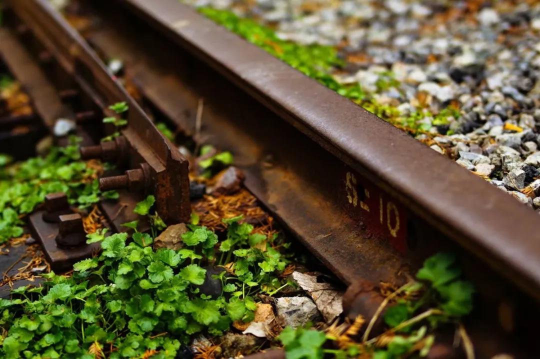 夜虹口，你要这么白相才够嗲！