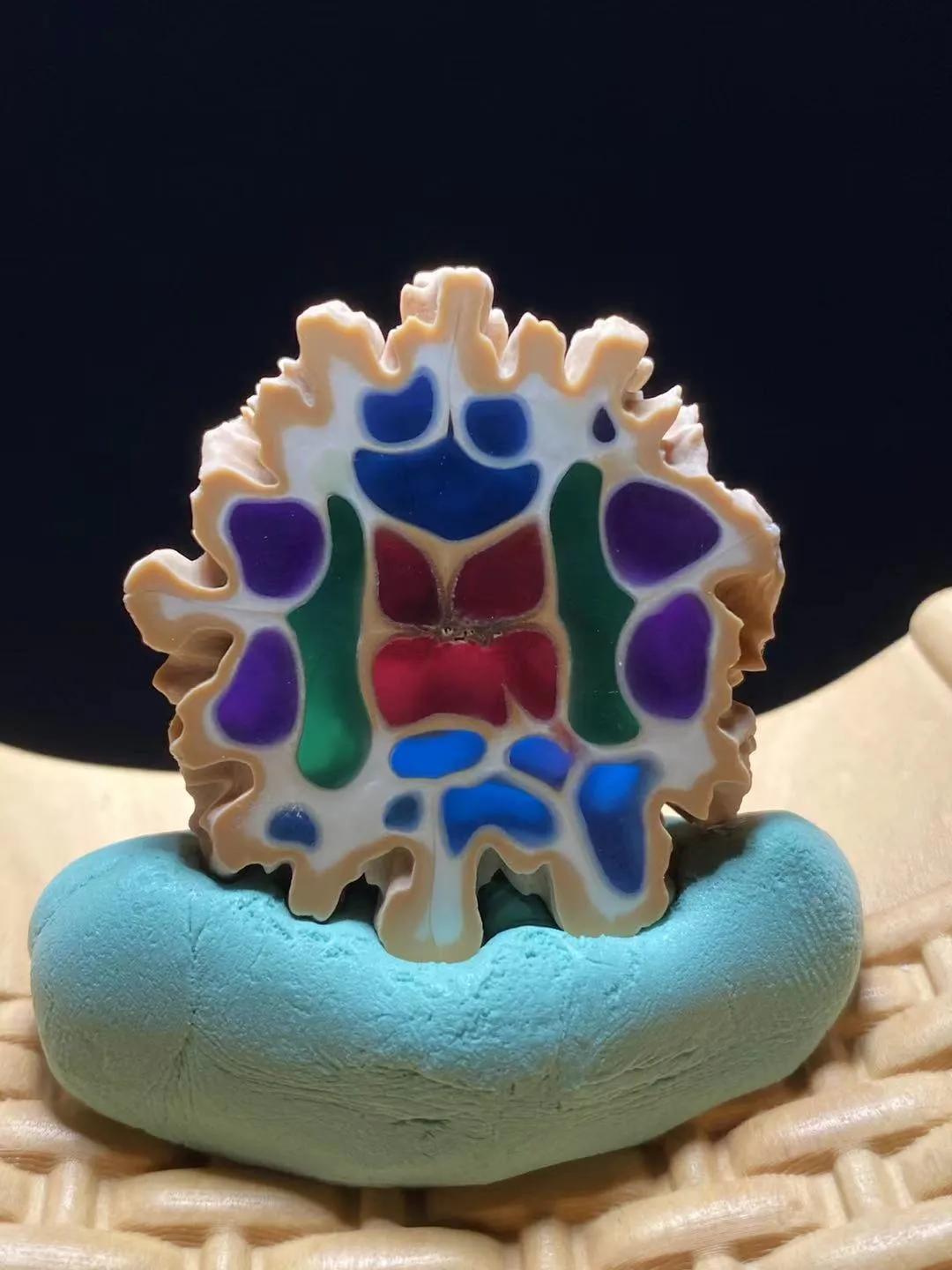 高档核桃核,核桃核精品