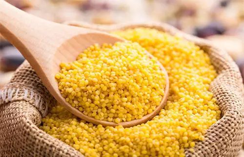 小米加一物对身体有什么好处,小米和什么煮最好养胃