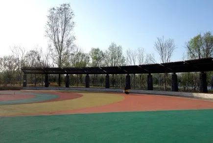 附近免费景点踏青网红打卡地,北京周边的四季花海