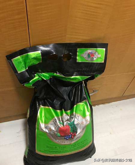 铲屎官每个月花多少钱,铲屎官日常挣奶粉钱