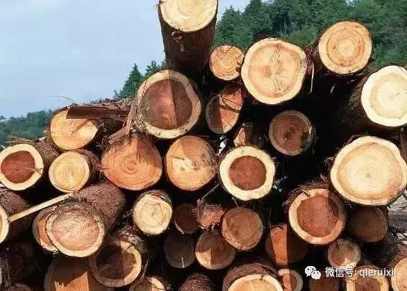 十种实木家具木材,各类实木家具介绍