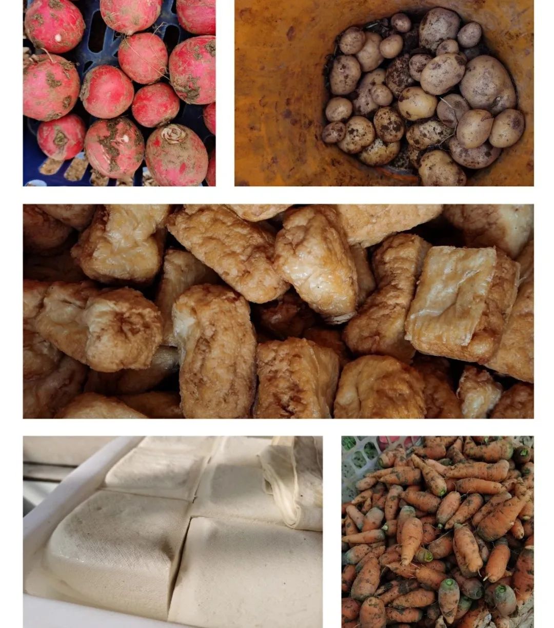 农场日记南瓜,农场栽菜日记