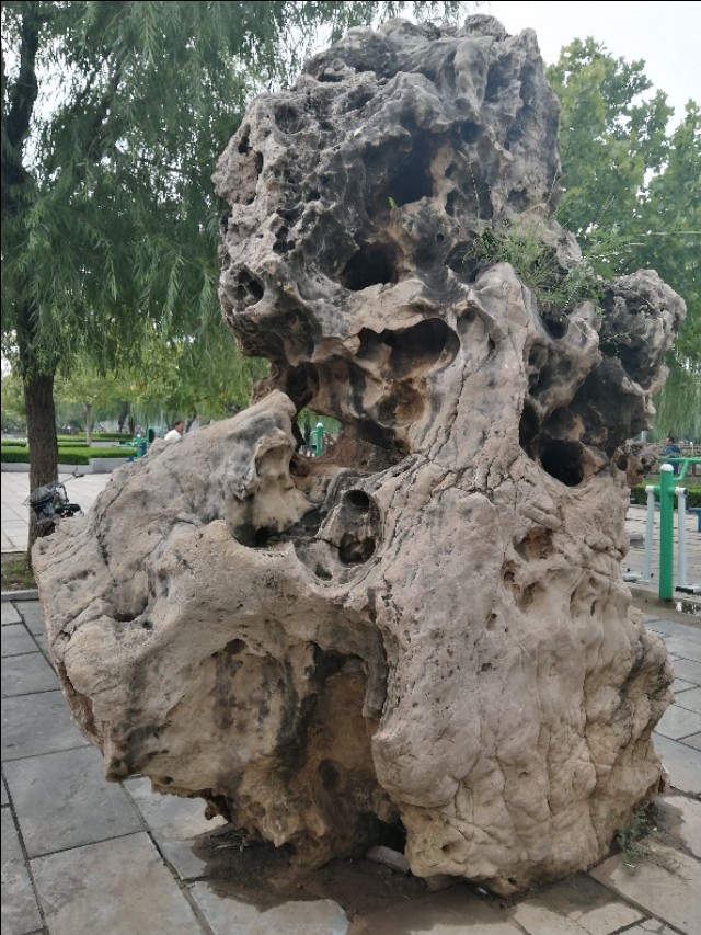 忆童年四季的葛山