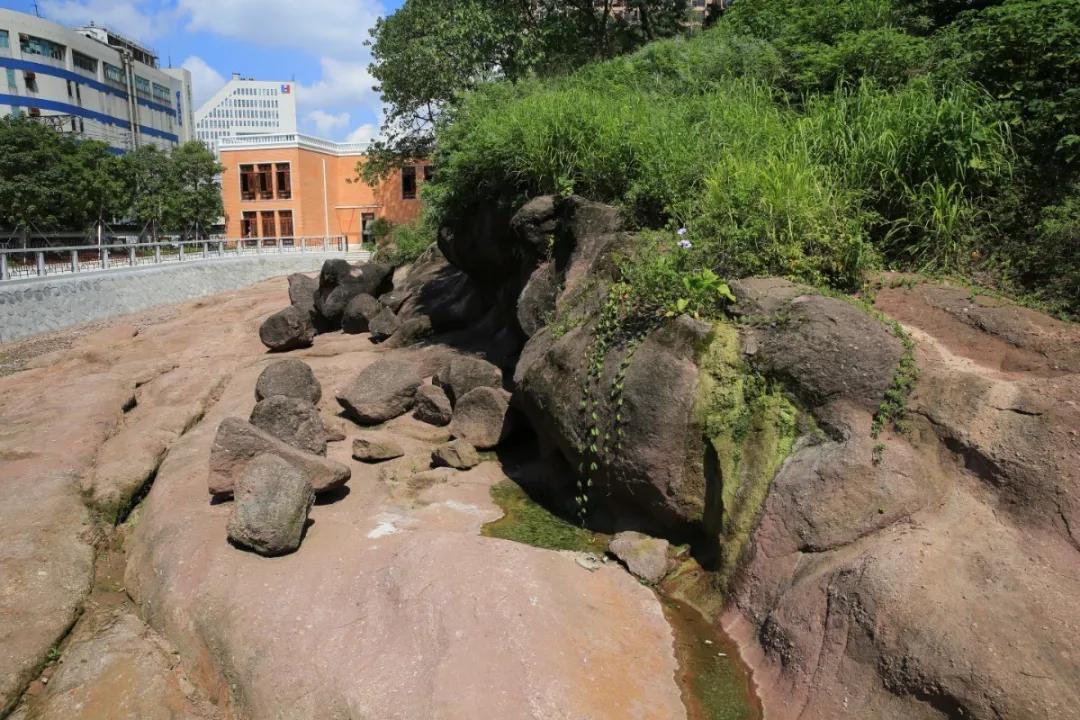 广州吃海鲜最便宜的地方2018年,广州的海鲜哪里又新鲜又便宜