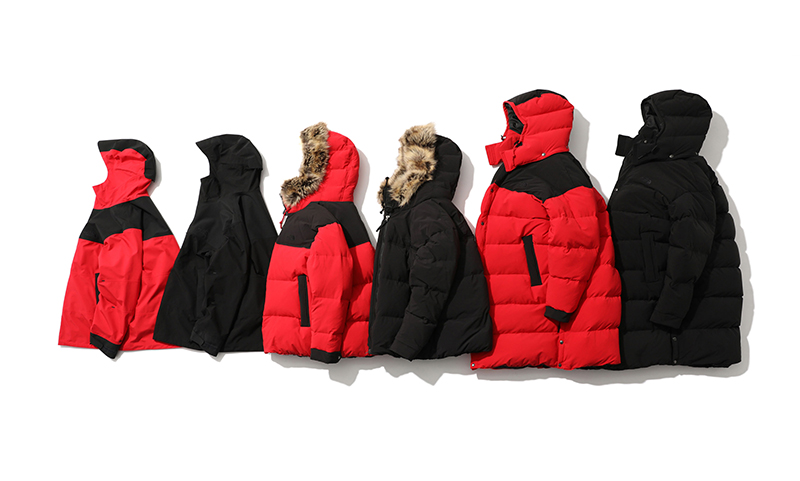 王子异资生堂直播,王子异中国青年