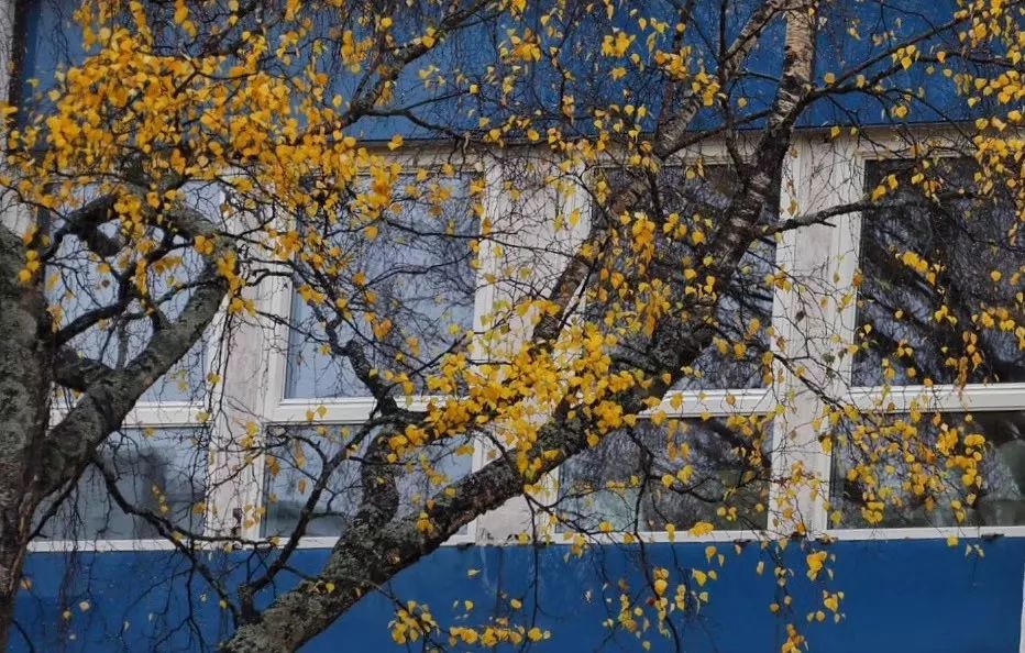 北纬66°34′流浪记——去世界尽头旅行是种什么体验？