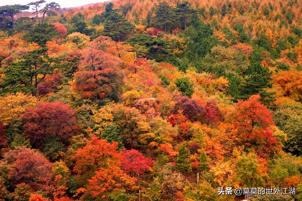 北京门头沟妙峰山旅游,北京门头沟妙峰山风景名胜区