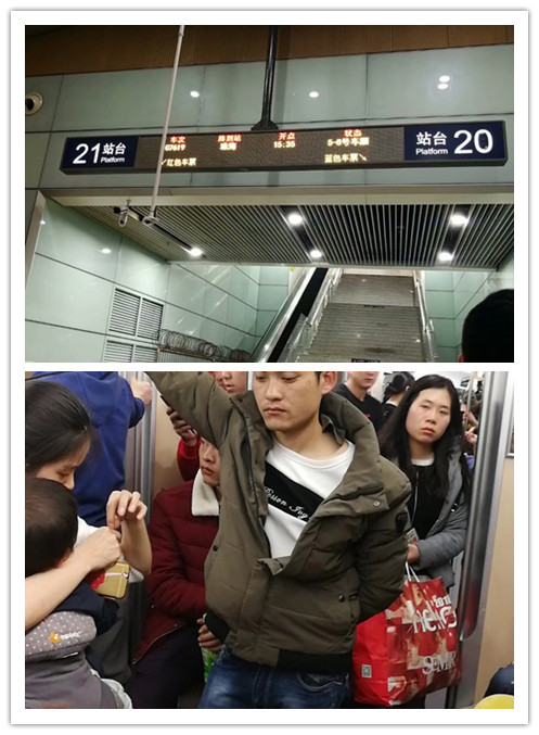 广州长隆海洋王国和珠海海洋王国,广州长隆海洋王国和珠海长隆