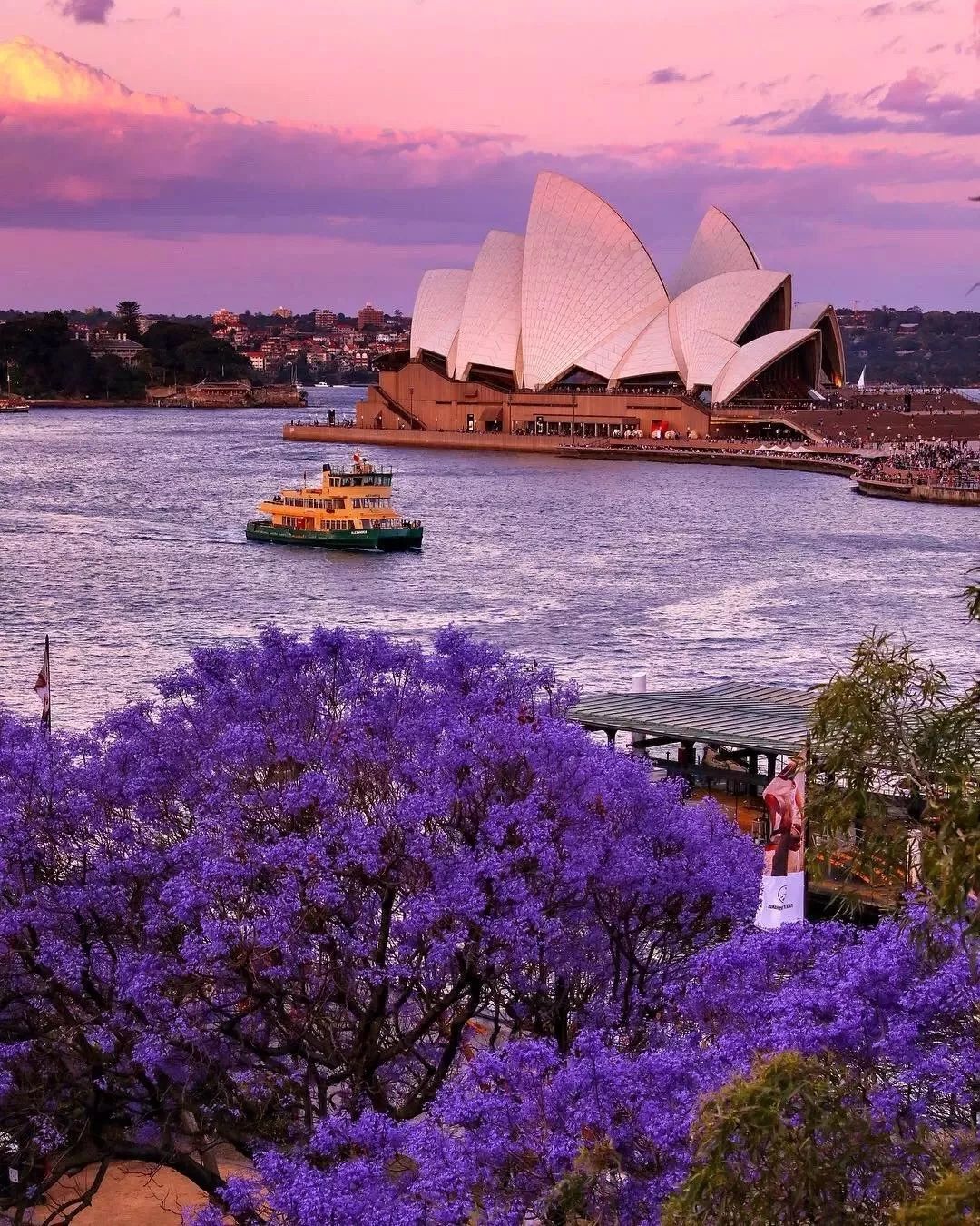 16岁澳籍华人天才少年病逝!46万字遗作震撼了世界