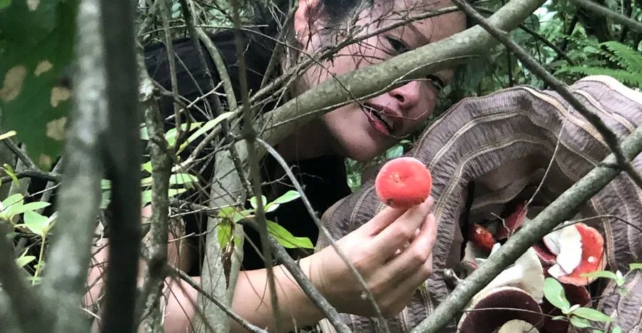 春日自然教育,春日茶语正能量