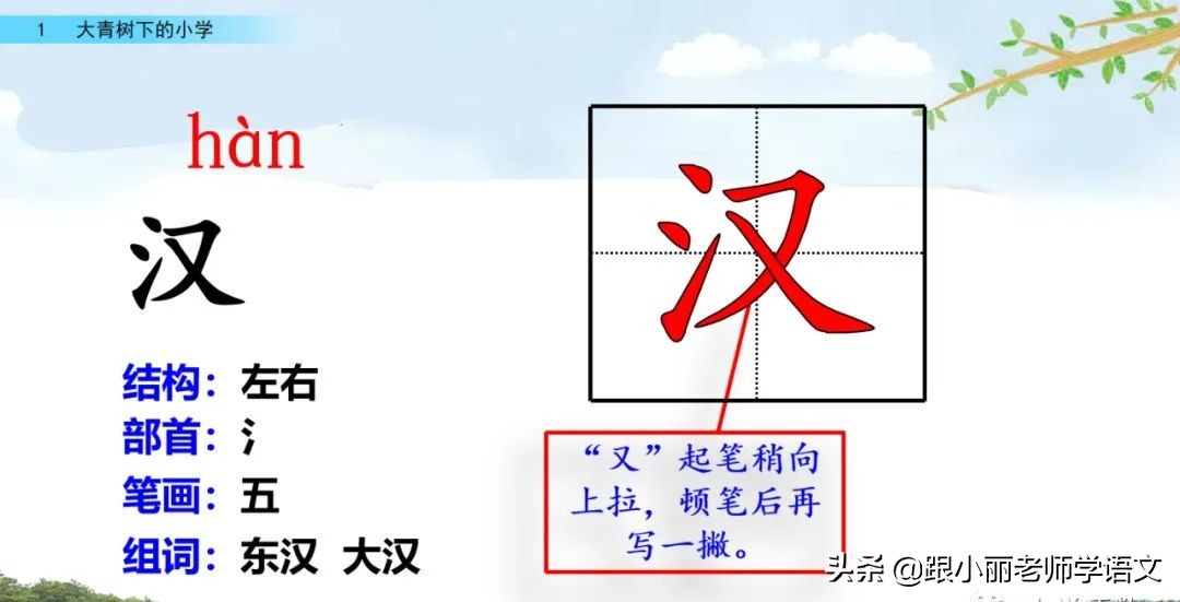 大青树下的小学必会知识点,大青树下的小学必考知识点