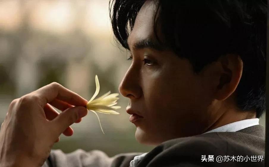 山川异域风月同天文化自信,山川异域风月同天中日