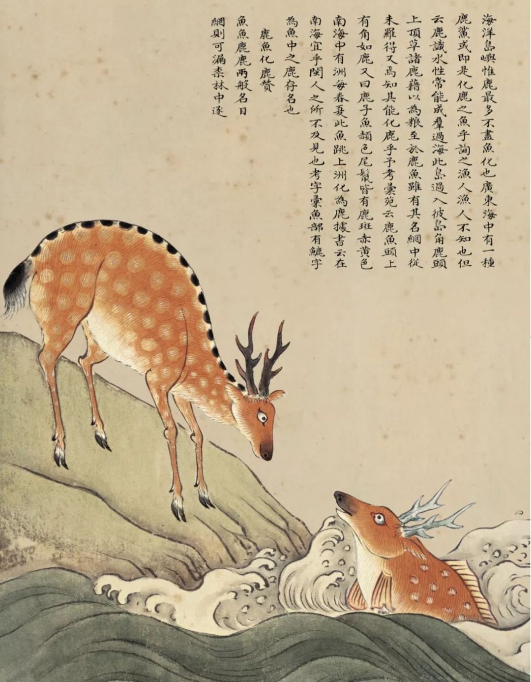 你以为人鱼都美的惊心动魄？那你是没有见过丑的！