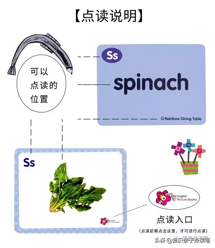 甜心英语精读,甜心英语免费