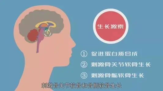 身高比同龄矮的孩子怎么长高,父母身高偏矮孩子怎么长高