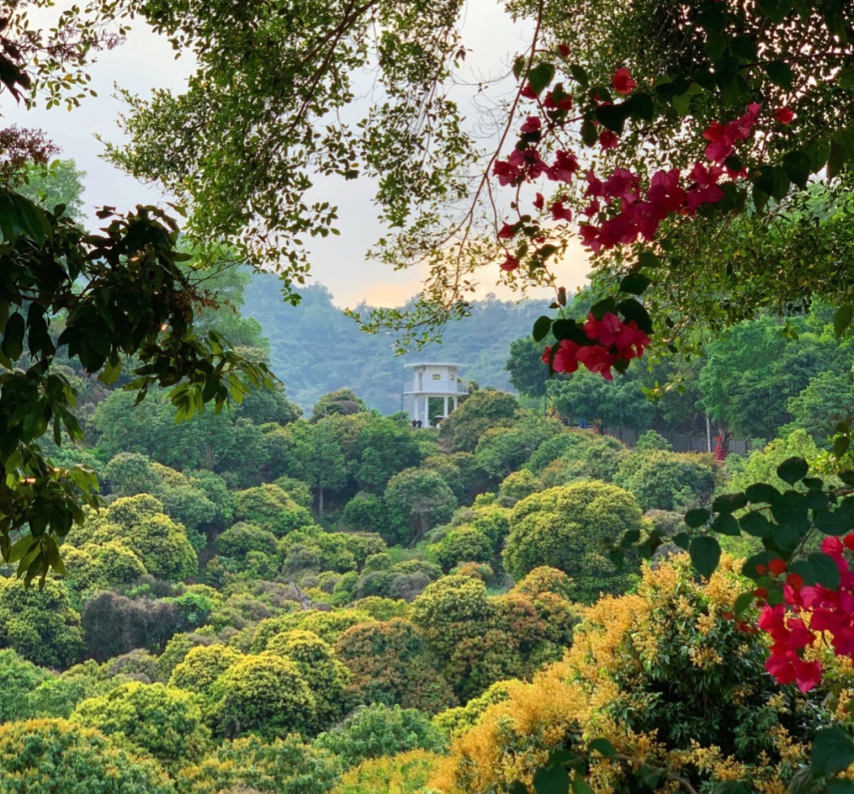 广东十大经典徒步穿越线路,广东10大徒步景点