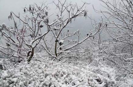 成都人的这些特点你中了几条,成都人给外地人的真实印象