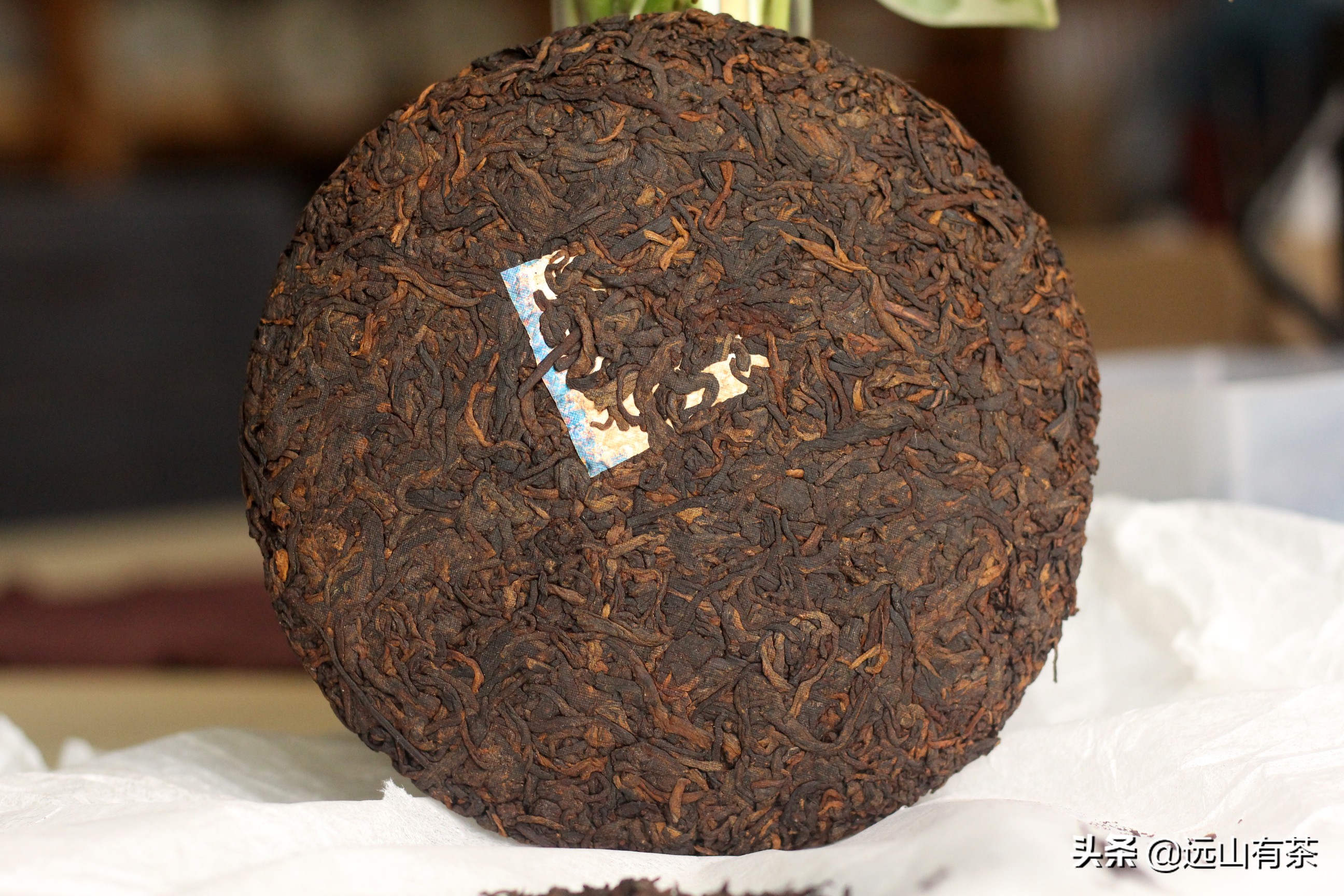 【三掌柜说茶】一款好熟茶喝起来是什么感觉？