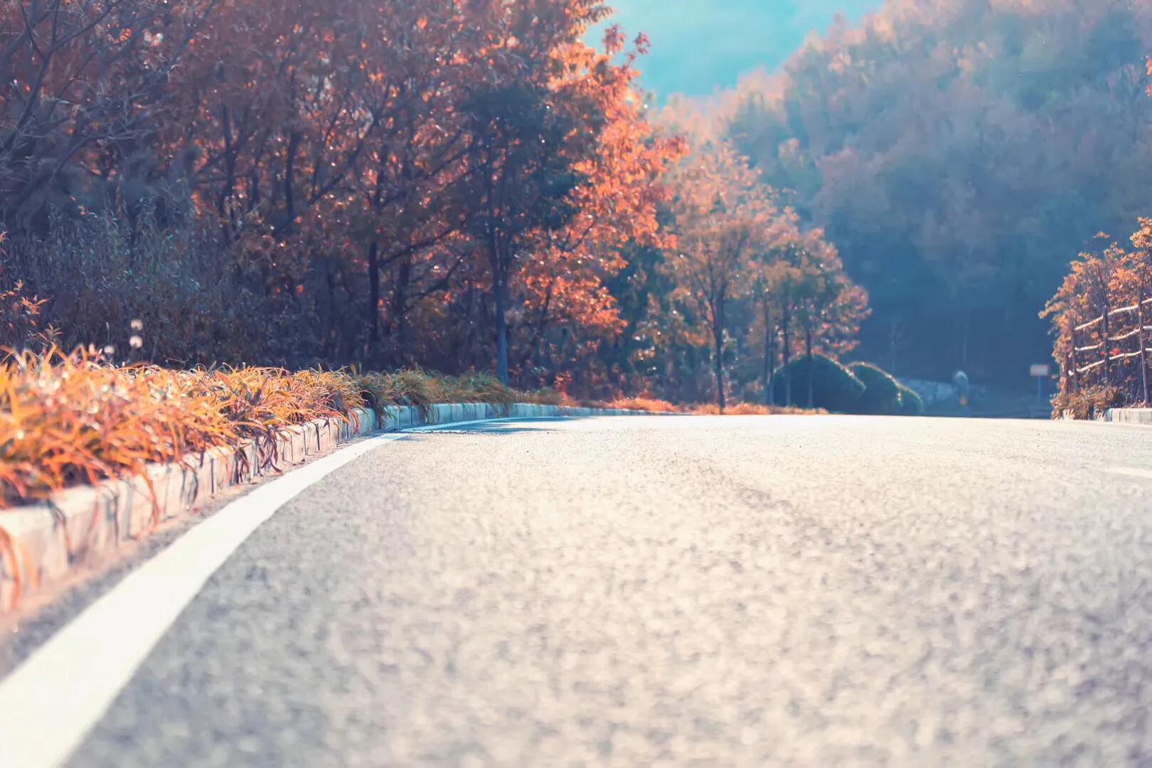 对不起雅阁,我不能不爱你!再开一篇解读雅阁问题!