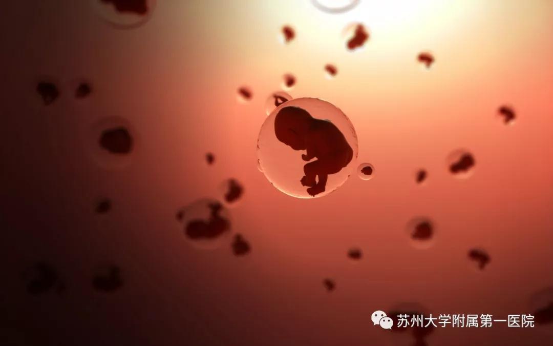 收藏!孕期要做几次B超?请看这份最全孕期B超检查攻略