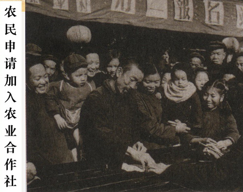 农信社是企业还是公司,农信社属于国企还是事业单位