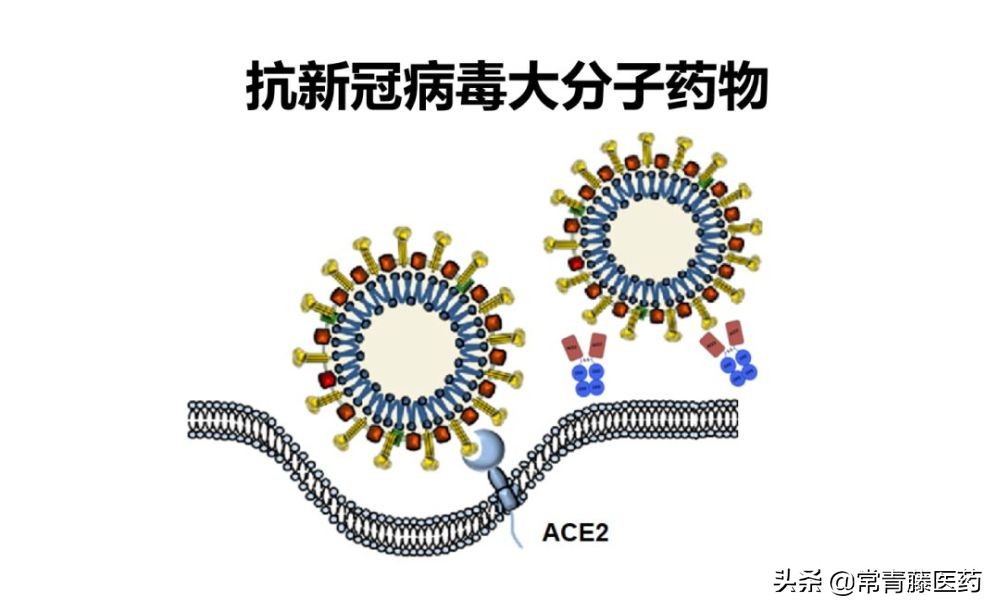 抗新冠药物雾化吸入剂,李文辉教授新冠