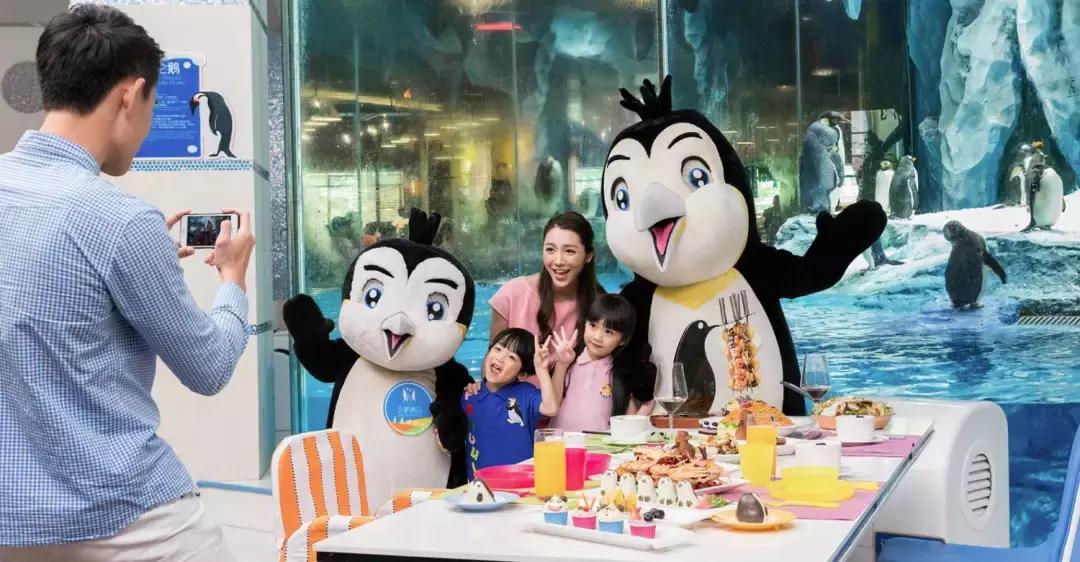 带小婴儿长隆动物园游玩攻略,亲子游玩广州熊猫酒店长隆攻略