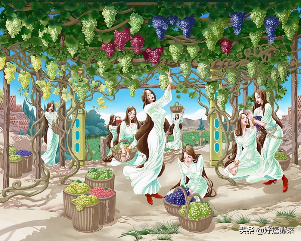 在新疆葡萄干类的小吃,新疆哪里的葡萄干比较好吃