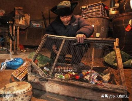 帮工一日为奴啥意思,帮人一日为奴意味什么