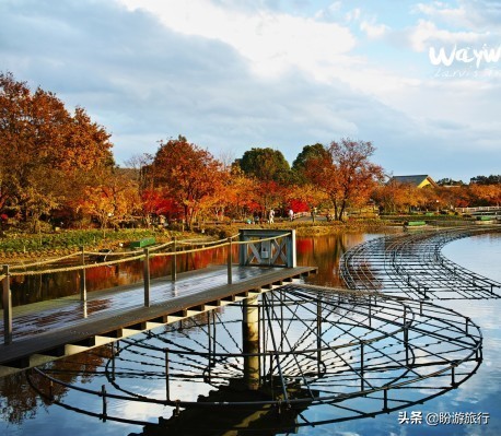 日本关西京都奈良旅游,日本关西自由行之奈良