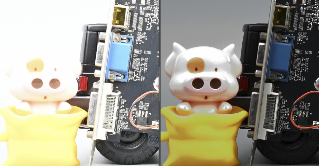 尼康Z50深度评测,尼康z50评测打鸟