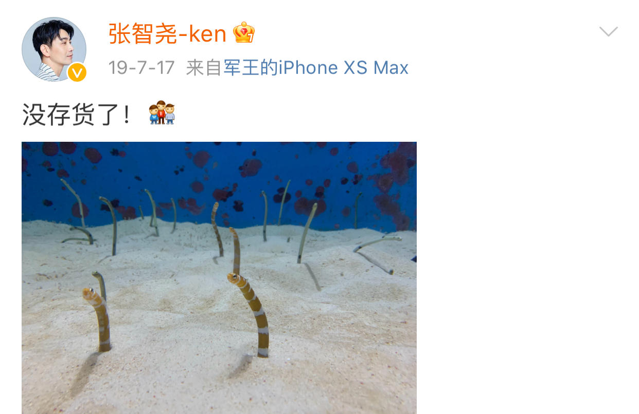 成龙没捧红过一个人,成龙老了为什么还那么拼