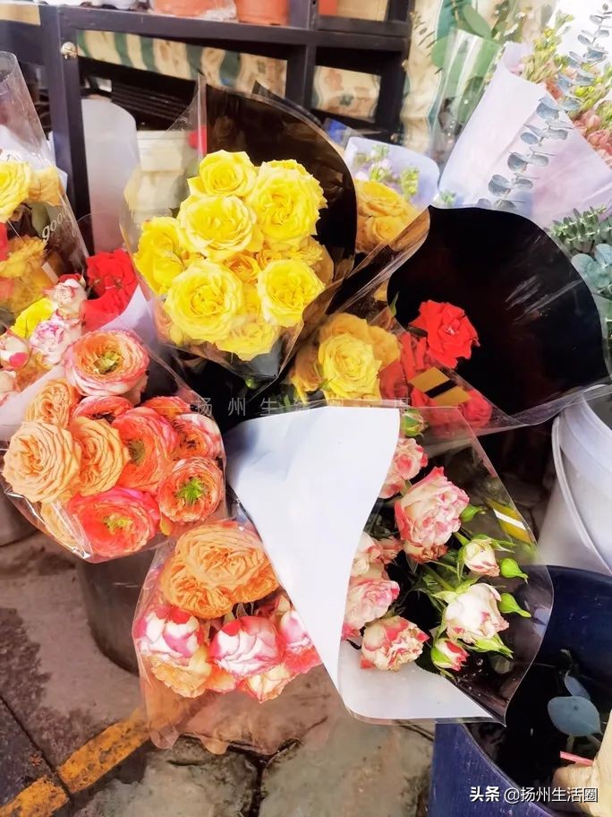 2元花盆批发清仓,2元花卉批发市场