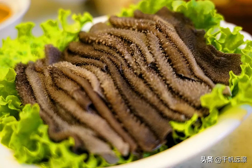 阳春四月春意盎然,阳春四月艳阳照