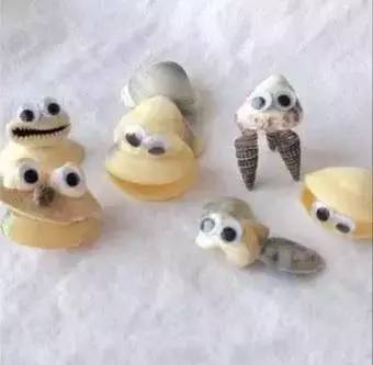 环创立体贝壳,贝壳墙环创