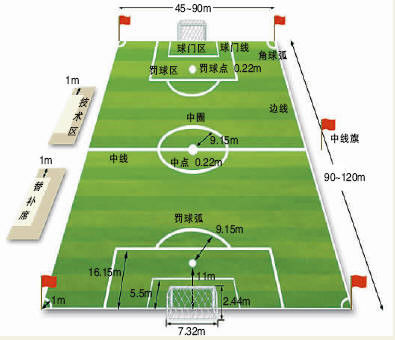 浣撹偛涓撲笟搴旇鐪嬪摢浜涗功,澶у鐢板緞鍦哄湴鐢绘硶鏁欑▼
