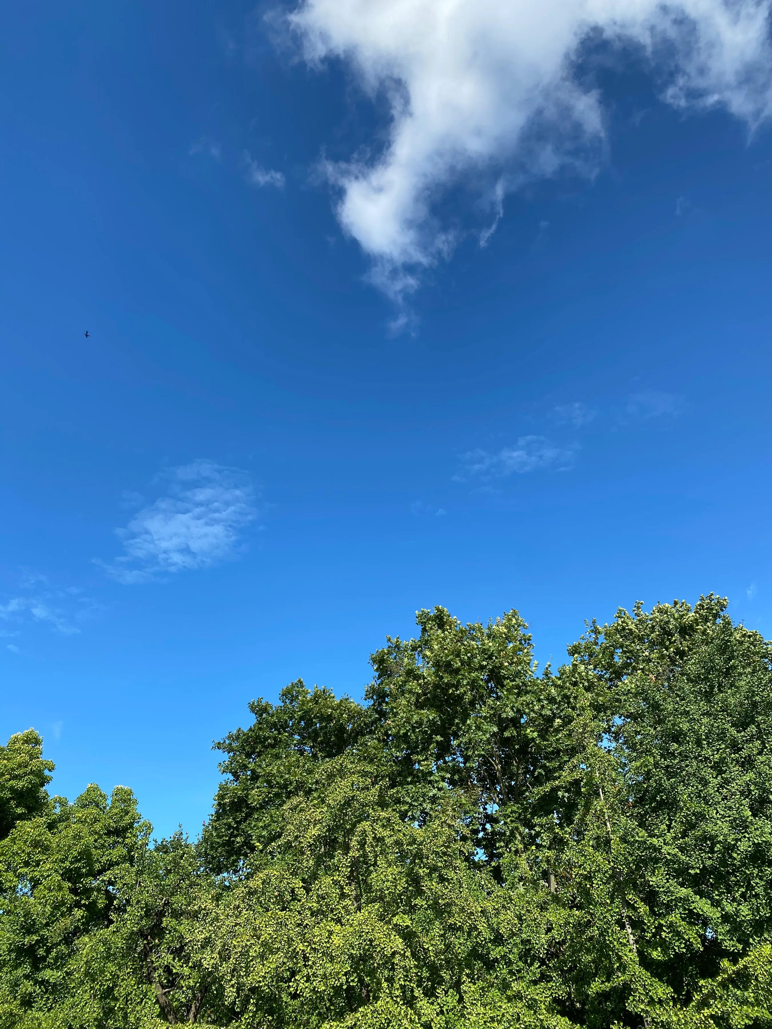 如果一个人心情很烦怎么办,心情郁闷如何释放自己