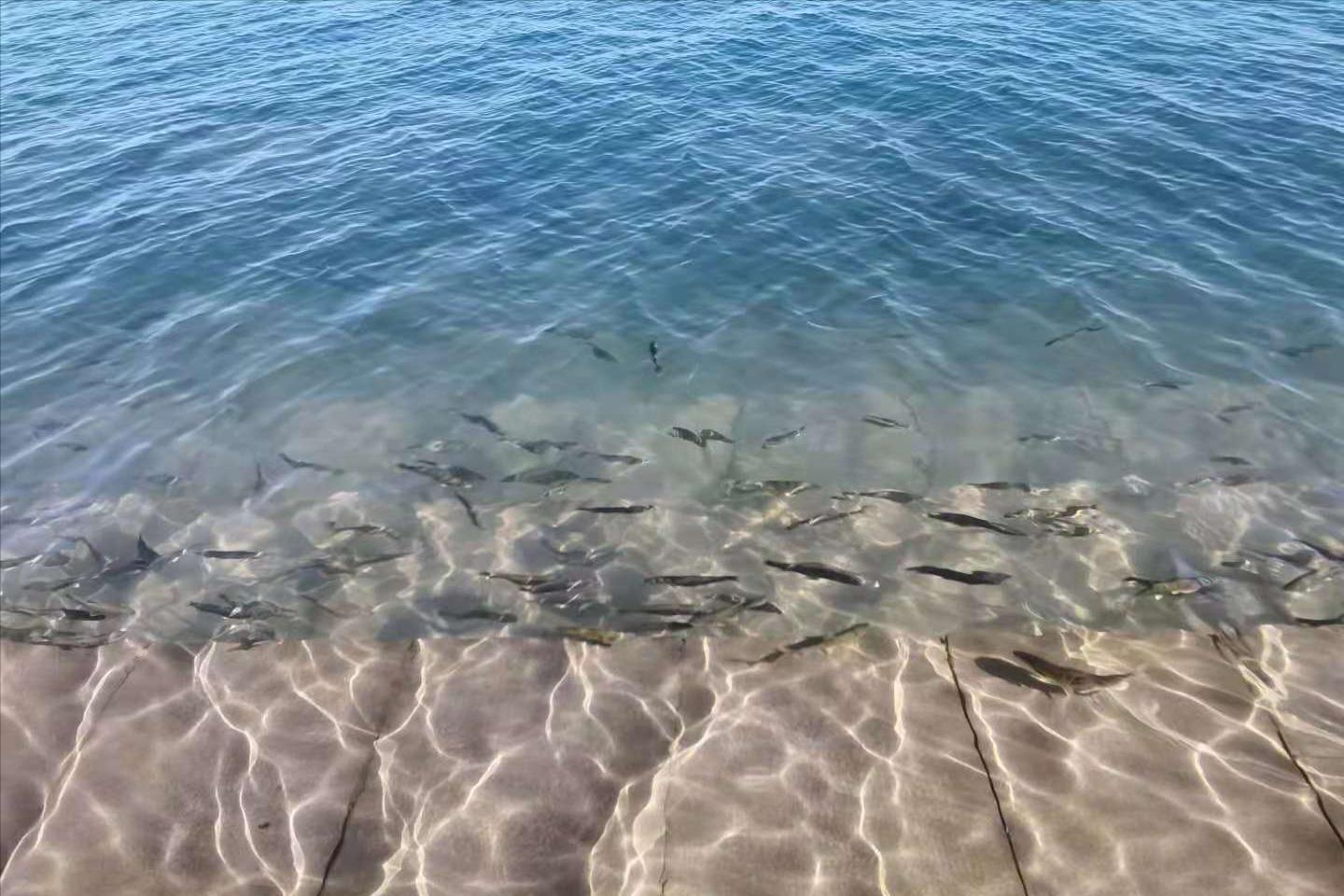 大漠的落日西下谁在反弹着琵琶,大漠的风沙下谁在弹琵琶