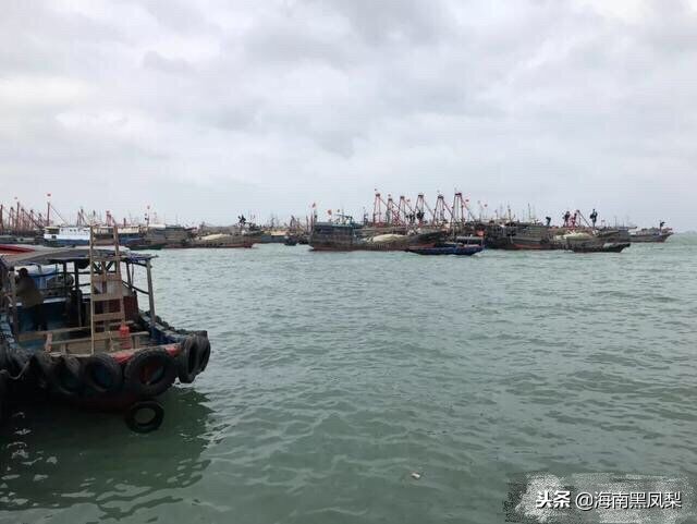 海南冬天最适合生活的地方,海南的冬天海滩