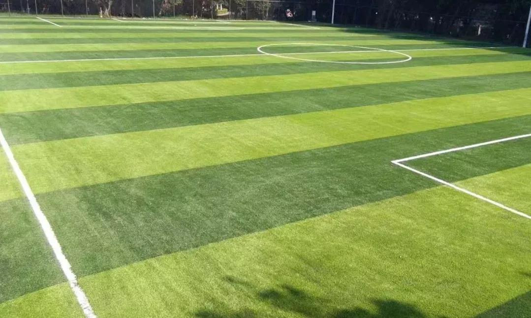 值得收藏的运动器材,运动场地免费开放