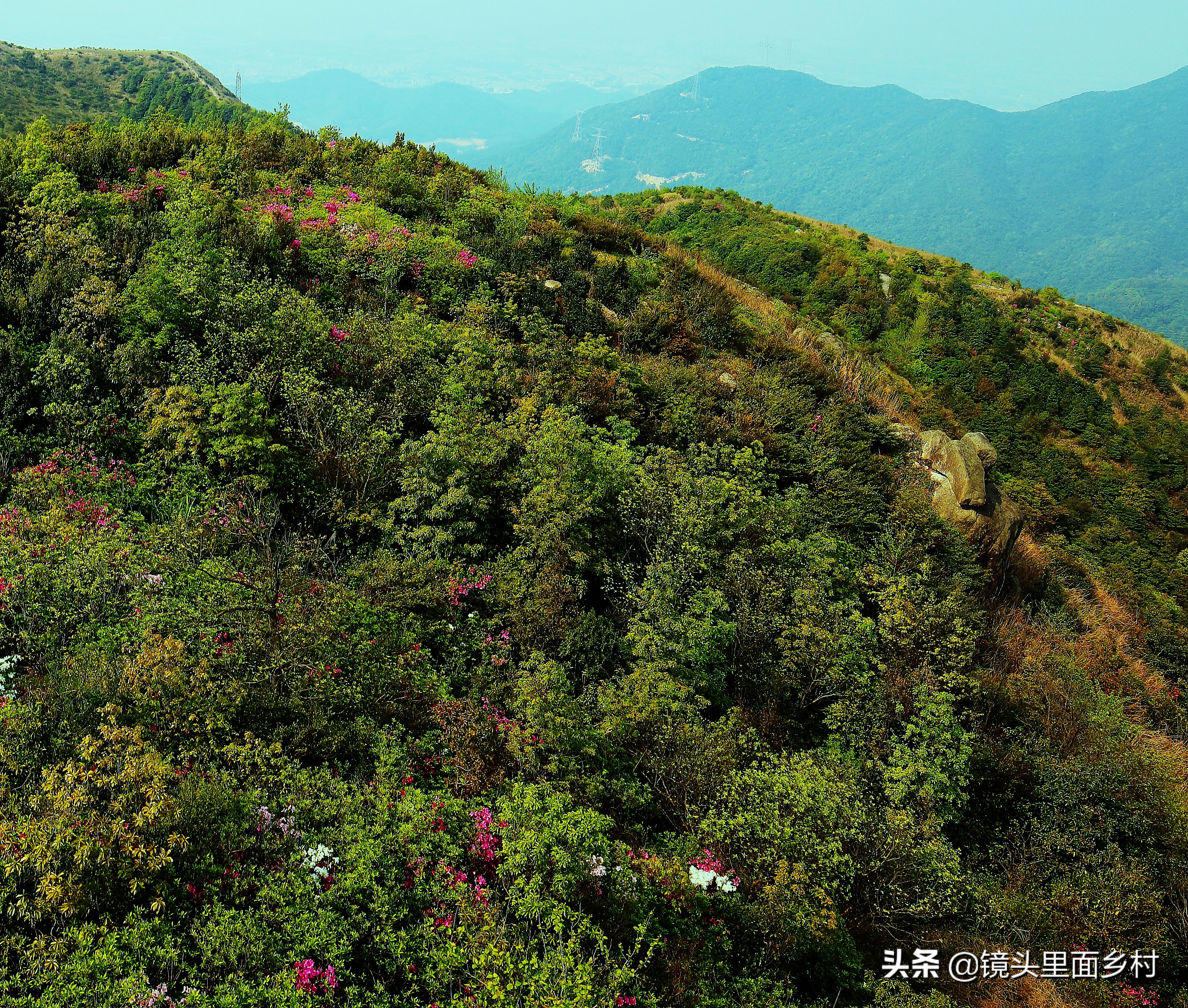 春分节日,节日春分