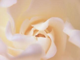 接吻吃到口红会怎么样,接吻吃到口红