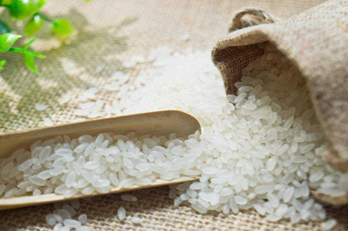 科普知识世界上最大动物的脚,冷知识来了世界上脚最长的动物