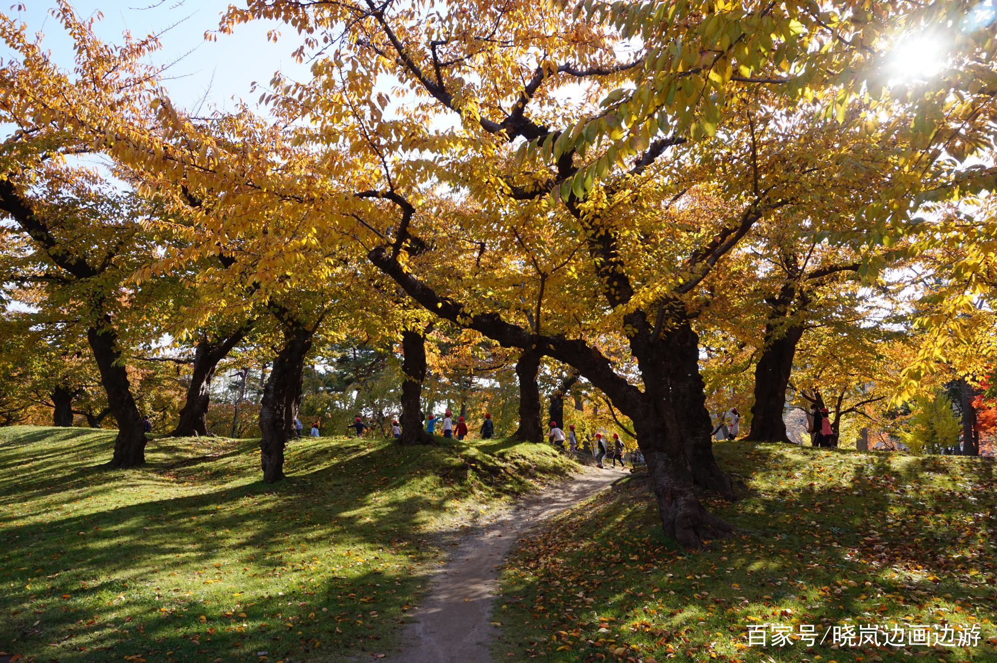 北海道札幌函馆夜景,北海道函馆夜景视频