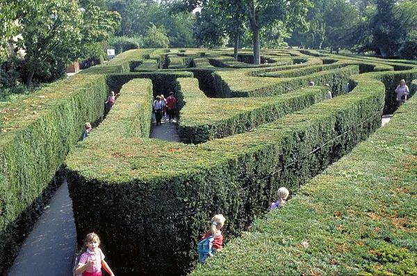 常见的绿篱有哪些至少20种以上,道路绿篱防护知识