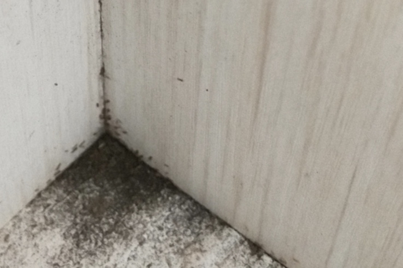 家里木地板被泡怎么赔偿,地板被泡引纠纷怎么办