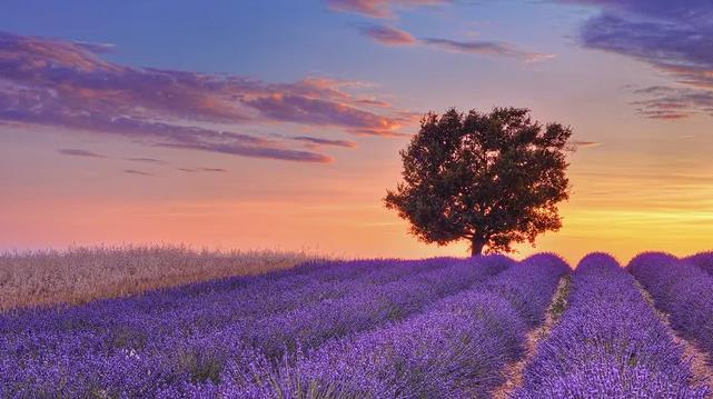 情侣必去的浪漫古镇,情侣必去浪漫旅行地