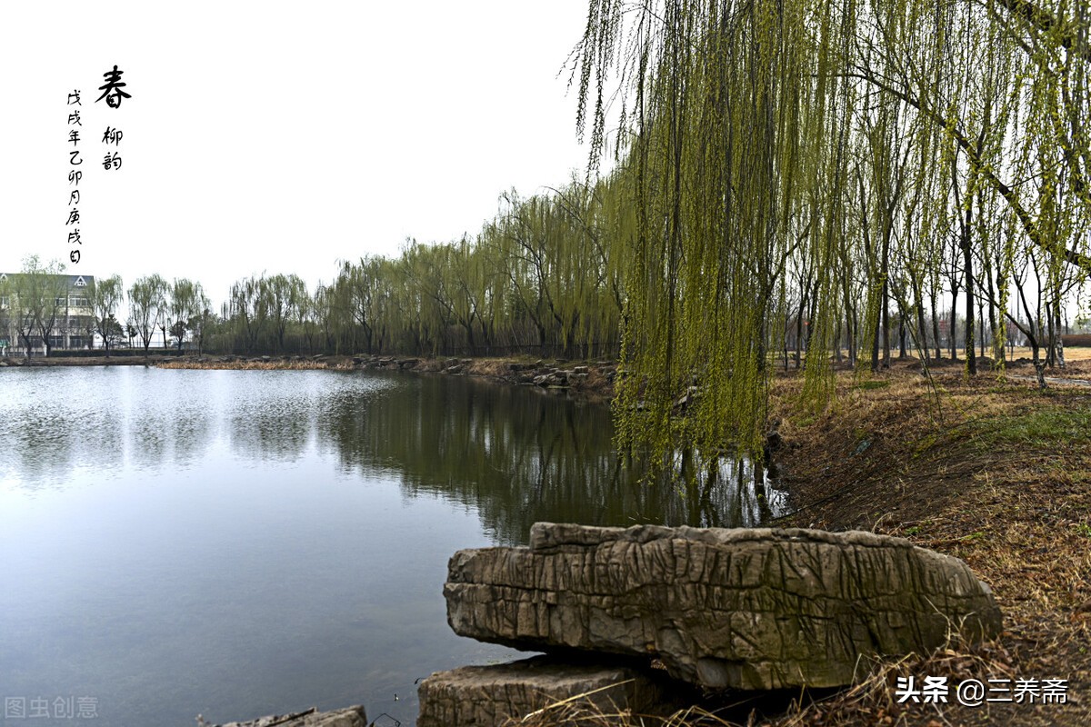 诗词经典赏析咏柳贺知章,咏柳贺知章儿童版古诗讲解