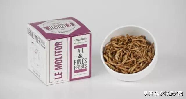 昆虫薯片,昆虫零食香辣